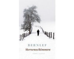 Omslag van Hersenschimmen