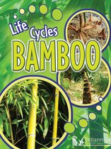 Life Cycles - Bamboo
