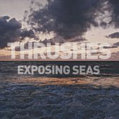 Exposing Seas