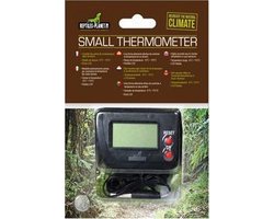 Small Thermometer