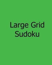 Large Grid Sudoku: Level 1