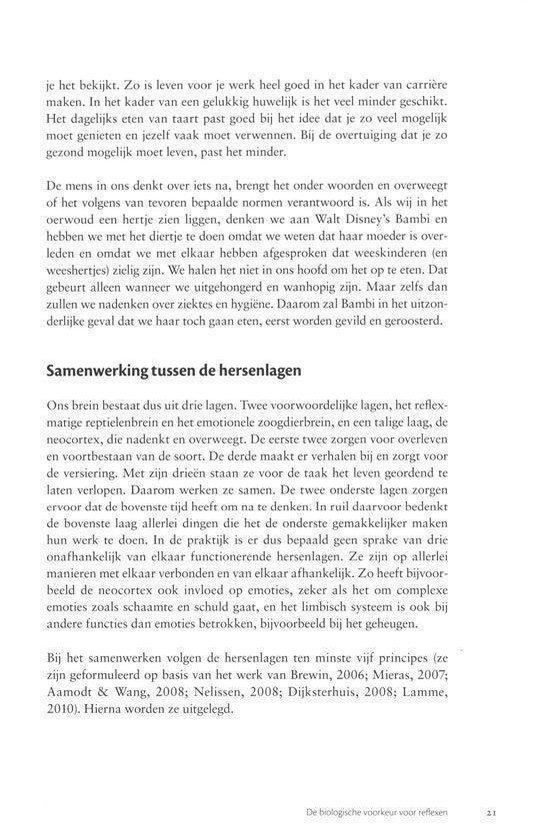 Het gelaagde brein