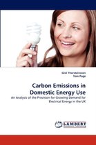 Carbon Emissions in Domestic Energy Use