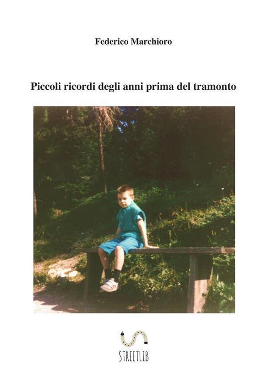 Piccoli ricordi degli anni prima del tramonto - cover