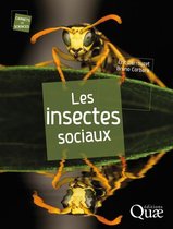 Carnets de sciences - Les insectes sociaux