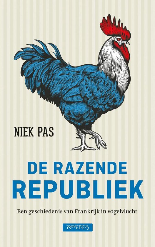De razende Republiek - cover