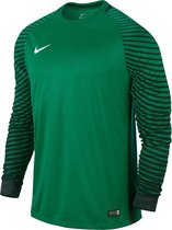 Nike Gardien GK Jersey  Sportshirt - Maat L  - Mannen - groen