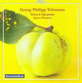 Georg Philipp Telemann: Trios & Quartets