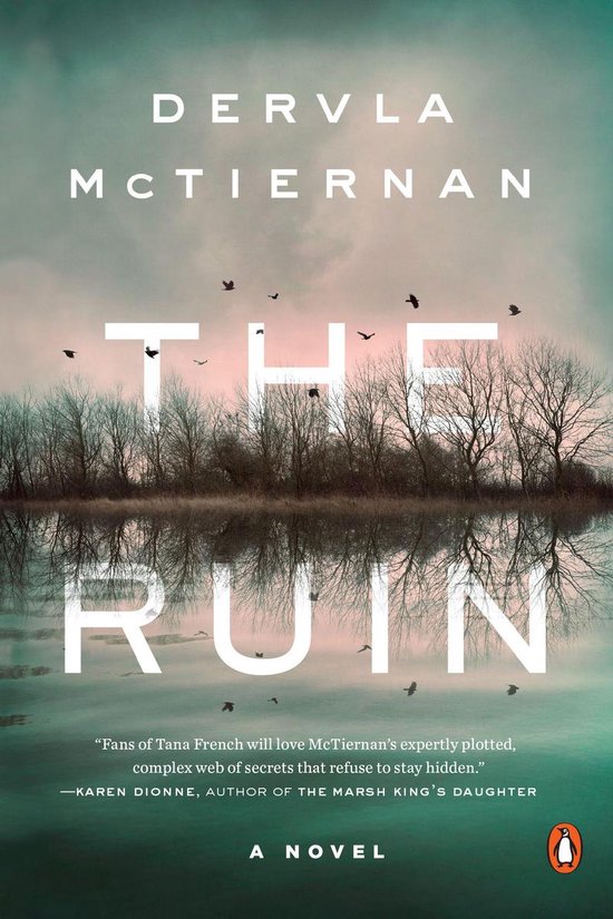 A Cormac Reilly Mystery 1 - The Ruin - cover
