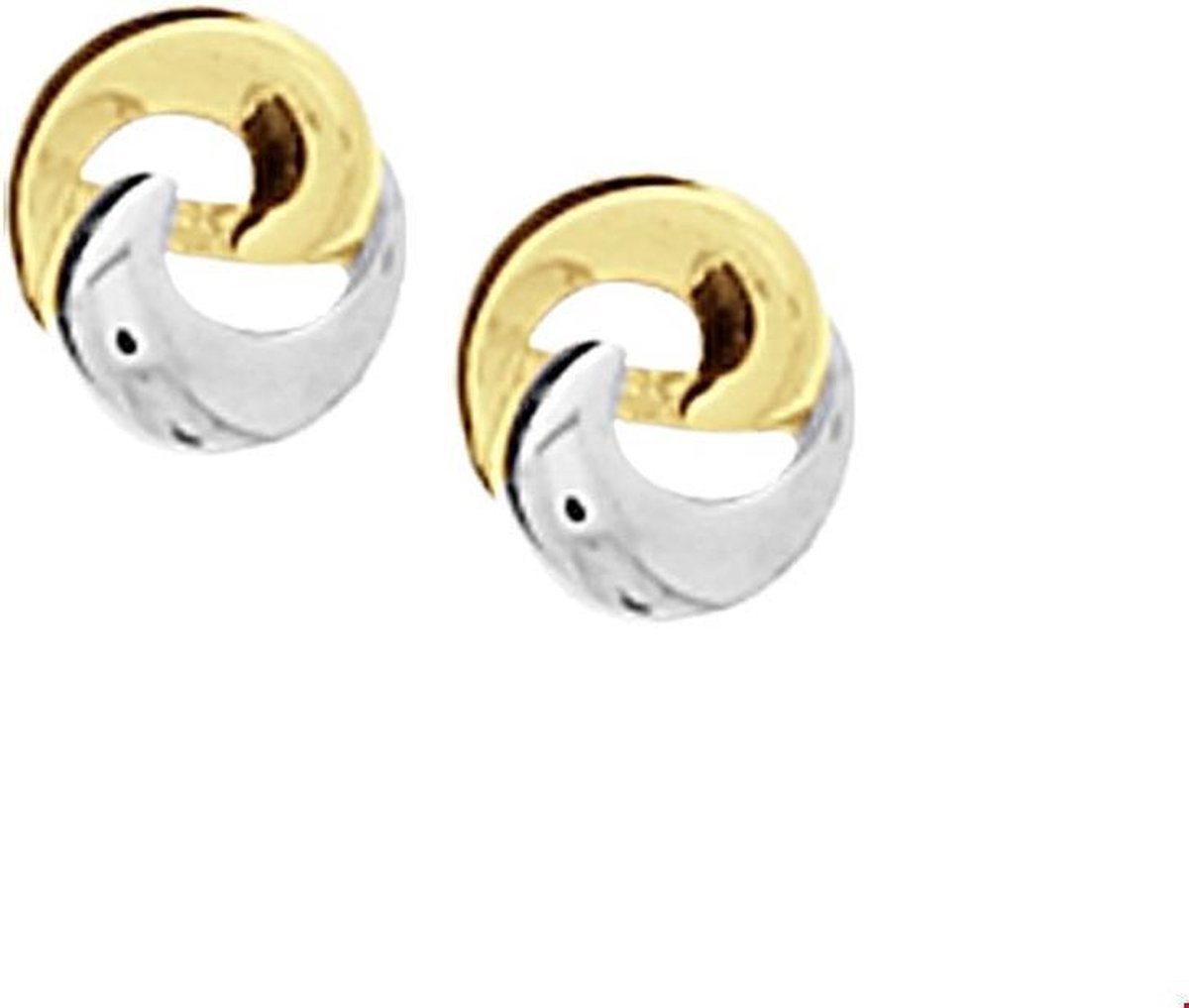 Gouden oorbellen 4018292