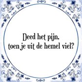 Tegeltje met Spreuk (Tegeltjeswijsheid): Deed het pijn, toen je uit de hemel viel? + Kado verpakking & Plakhanger