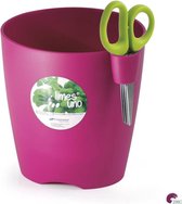 Cosy & Trendy Limes Uno Kruidenpot Met Schaar - 1L3 - Ø 13 cm x 14 cm - Fuchsia