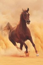Dynamic Arabian Blank Book Lined Journal (4x6)