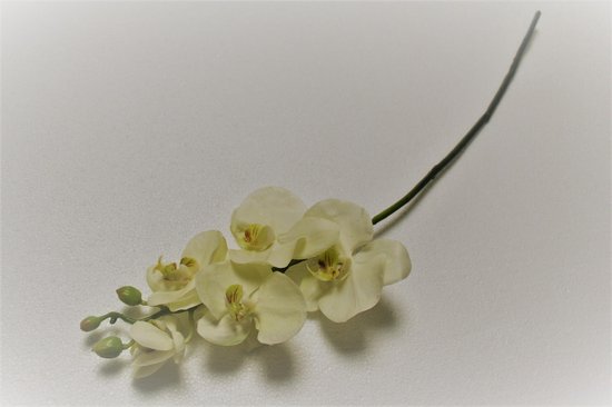 Maison 615 - Fleur en soie - Phalaenopsis - Orchidée - Blanc - 67cm |  bol.com