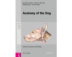 Anatomy of the Dog