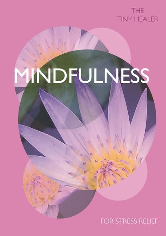 Tiny Healer - Tiny Healer: Mindfulness - cover