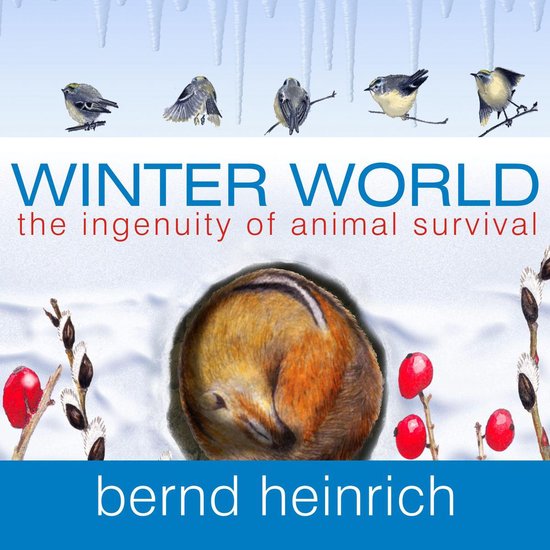 Winter World - cover