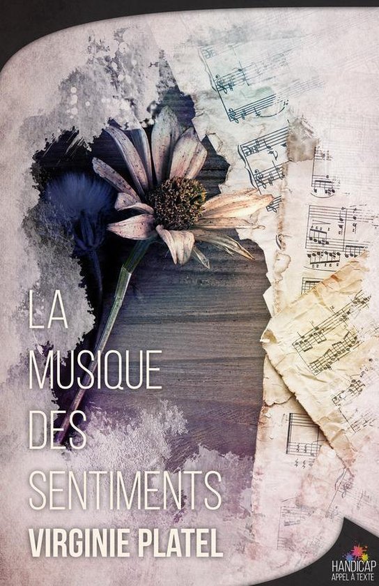 Romance Passion La Musique Des Sentiments Ebook Virginie Platel 9782375741788