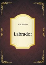 Labrador