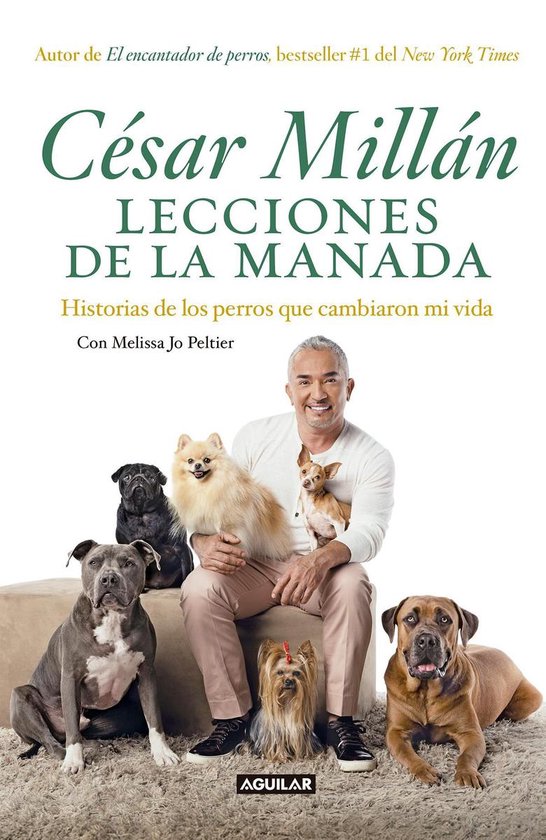 César Millán met vijf honden, waaronder een chihuahua en een shi tzu, op de cover van 'Lecciones de la manada'.
