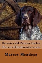 Secretos del Pointer Ingles