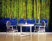 Forest Woods Trees Photo Wallcovering