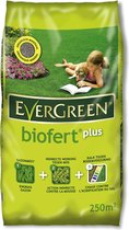 Evergreen Biofert Plus 25kg Gazonmeststof indirecte tegen mos 250m²