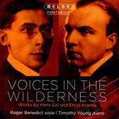 Voices In The Wilderness