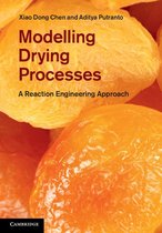 Modelling Drying Processes