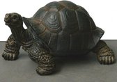 Reuzenschildpad - miniatuur