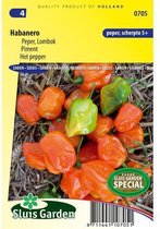 Sluis Garden - Peper Habanero Oranje (Capsicum chinense)
