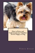 How to Raise and Understand Your Yorkshire Terrier Puppy or Dog