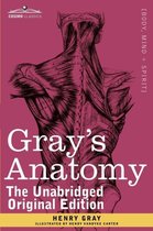 Couverture de livre avec dessin anatomique du dos et du cou. Titre : Gray's Anatomy.