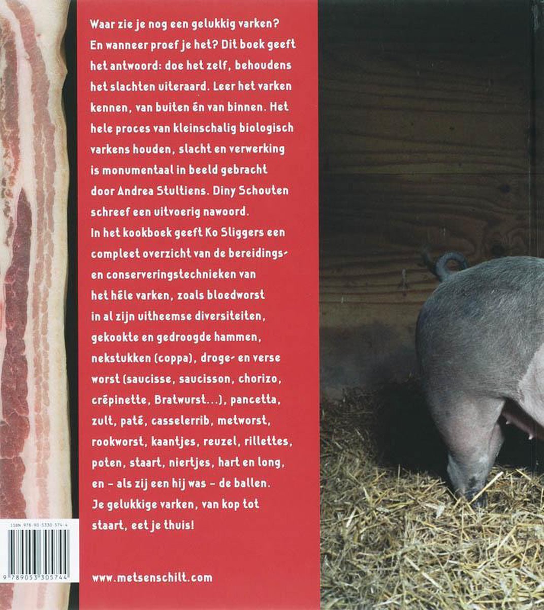 Sus Domesticus - back cover