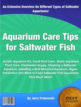 Aquarium Care Tips for Saltwater Fish