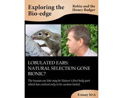 Lobulated ears: natural selection gone bionic?