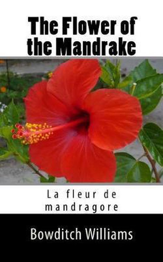 The Flower of the Mandrake - cover
