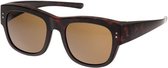 Fitofar Overzetzonnebril Bruin Dames Met Bruine Lens Vz0038b
