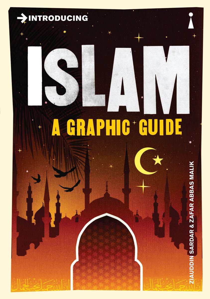 Graphic Guides - Introducing Islam op Prijzenvolger.com