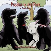 Poodles in the Park