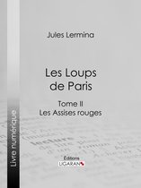 livre numérique
