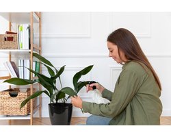 3 Ruby smartpotten 14cm stevige zwarte bloempotten niet breekbaar sierpot + afwatering