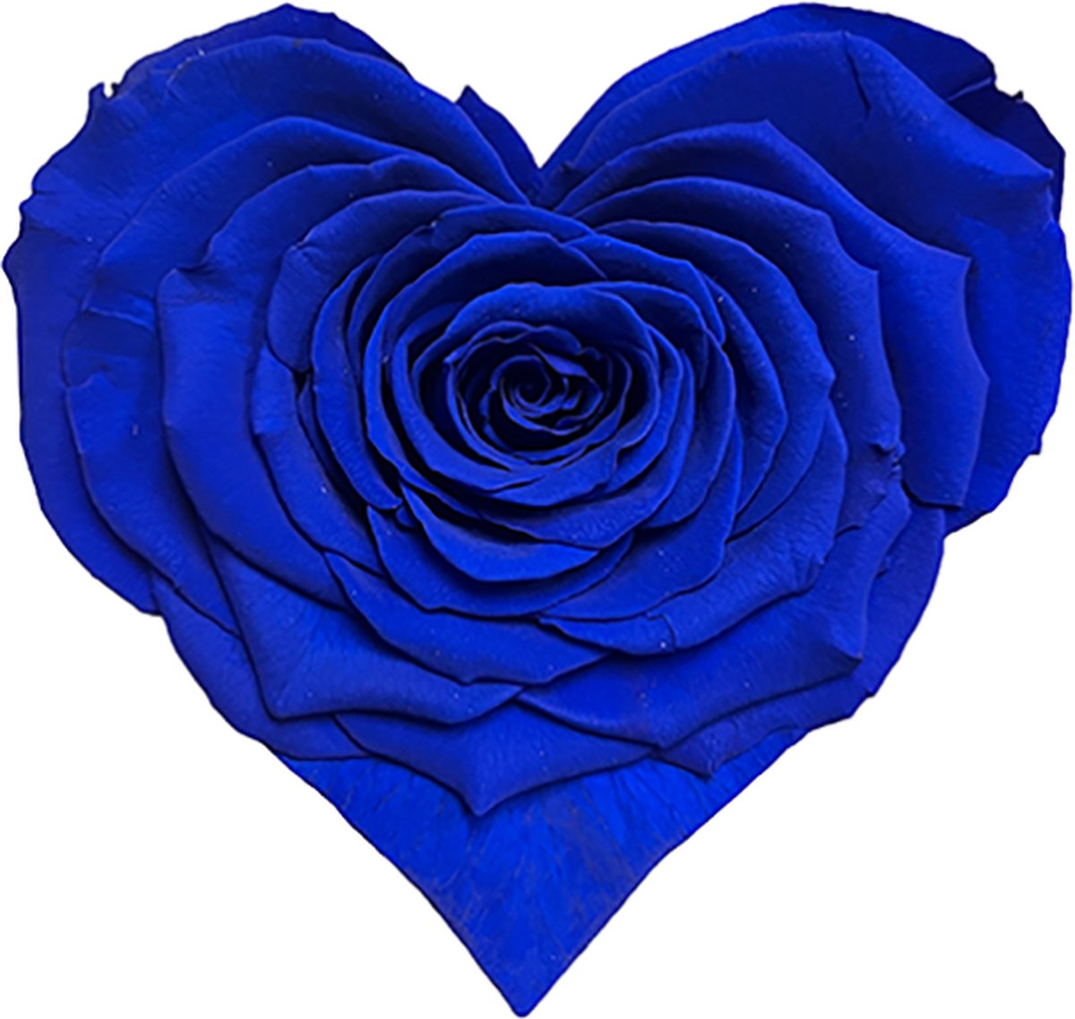 Longlife Rozenhartje Donkerblauw – Rosuz - Echte roos! 3 jaar houdbaar - Luxe Valentijnscadeau voor Hem in Geschenkdoos - Het Perfecte Gebaar voor Valentijnsdag