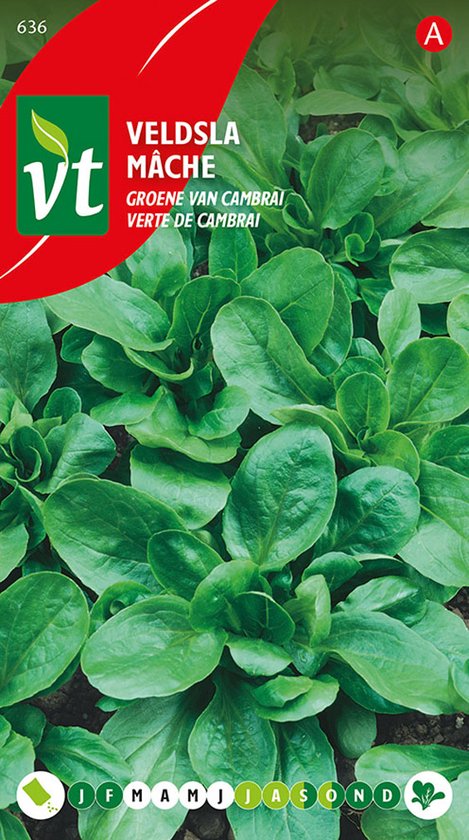 Veldsla Verte de Cambrai