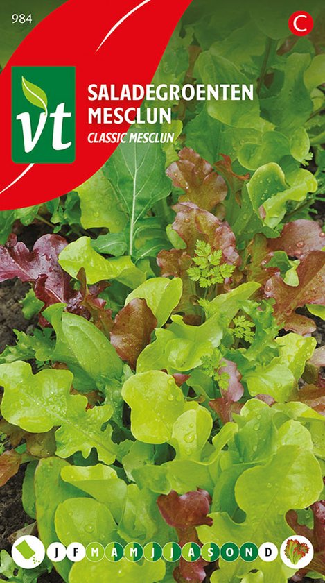 Sla ‘Saladegroenten Classic Mesclun’