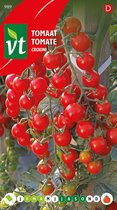 Tomaat 'Crokini' - Kleine en Zoete Tomaten voor Tuin en Balkon