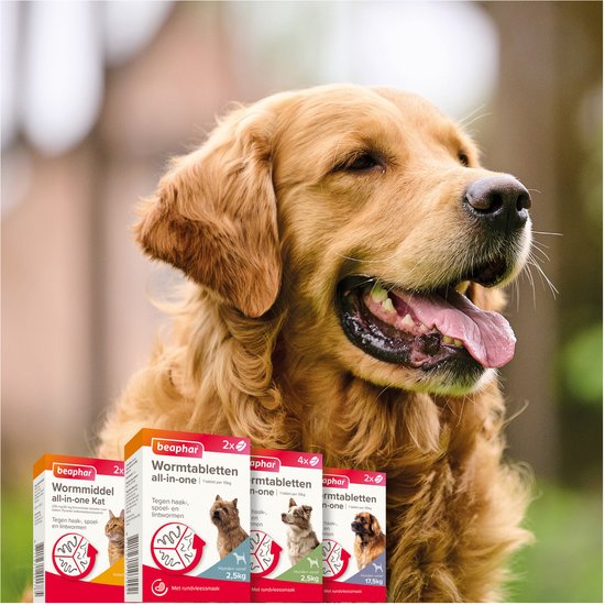 Gouden Retriever met dozen Beaphar wormtabletten, voor katten 2,5kg, honden 2,5kg en 17,5kg.