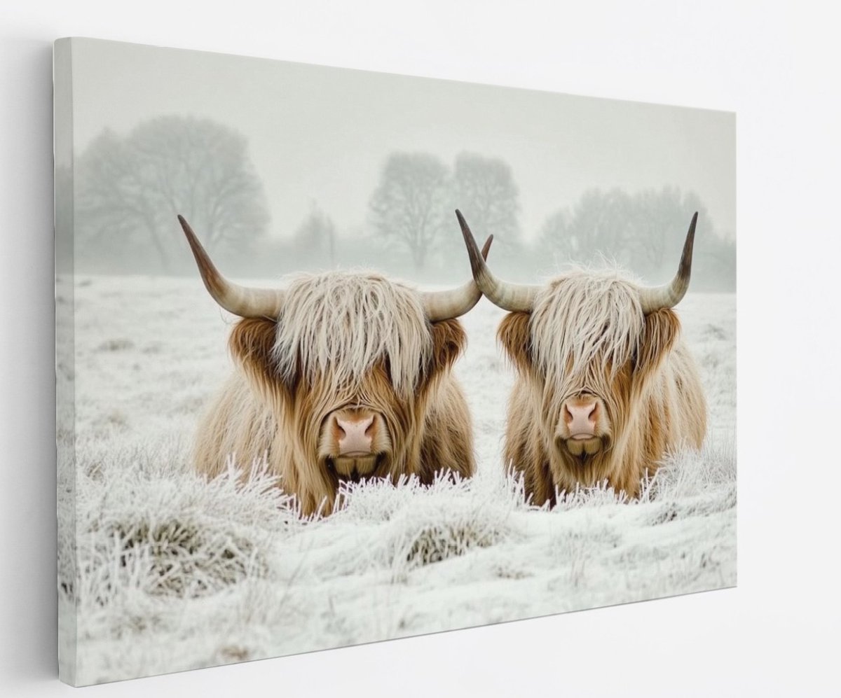 Saammp Canvas Schilderij - 2 Liggende Schotse Hooglander Koe - Dieren - Landschap - 50x40 - Foto op canvas - Wanddecoratie - muurdecoratie Woonkamer - Slaapkamer decoratie - Canvas Print Multicolor