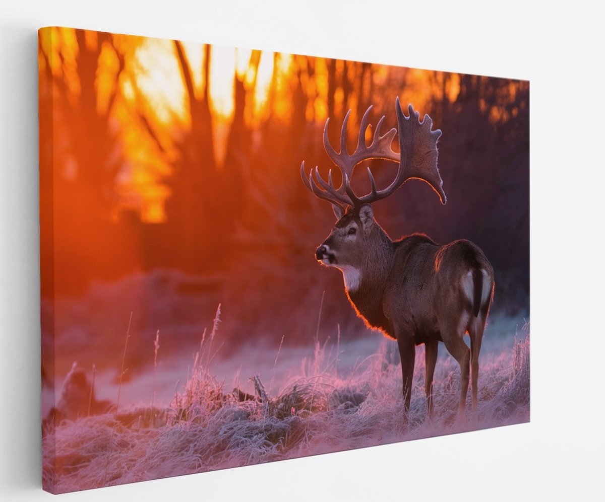 Saammp Canvas Schilderij - Hert - Portret - Winter - Natuur - Dieren - 70x50 - Foto op canvas - Wanddecoratie - Muurdecoratie Woonkamer - Slaapkamer decoratie - Canvas Print Multicolor