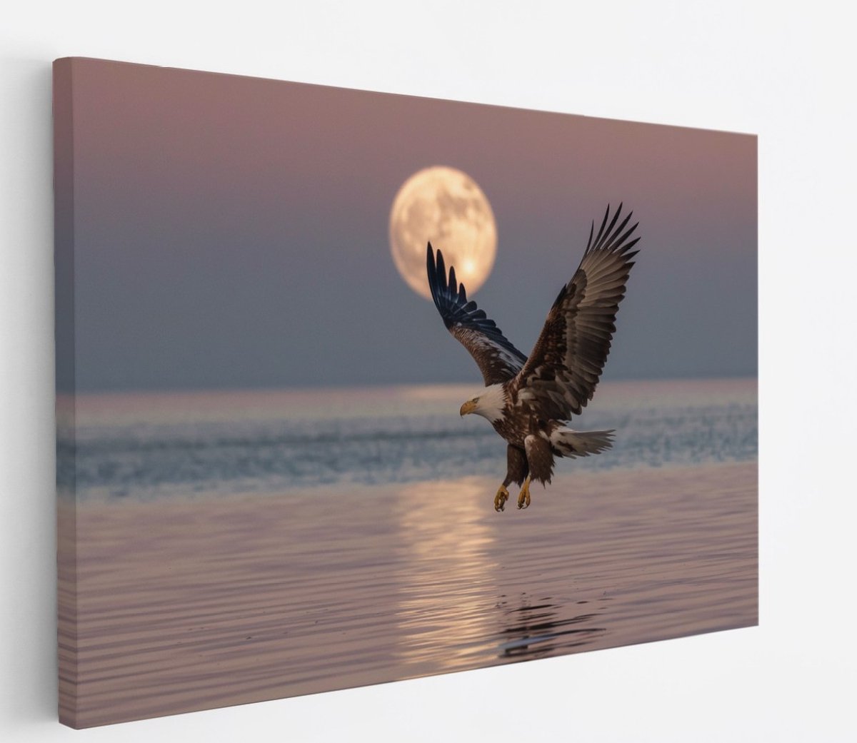 Saammp Canvas Schilderij - Zeearend met volle maan - Dieren - Bloemen - 90x60 - Foto op canvas - Wanddecoratie - muurdecoratie Woonkamer - Slaapkamer decoratie - Canvas Print Multicolor